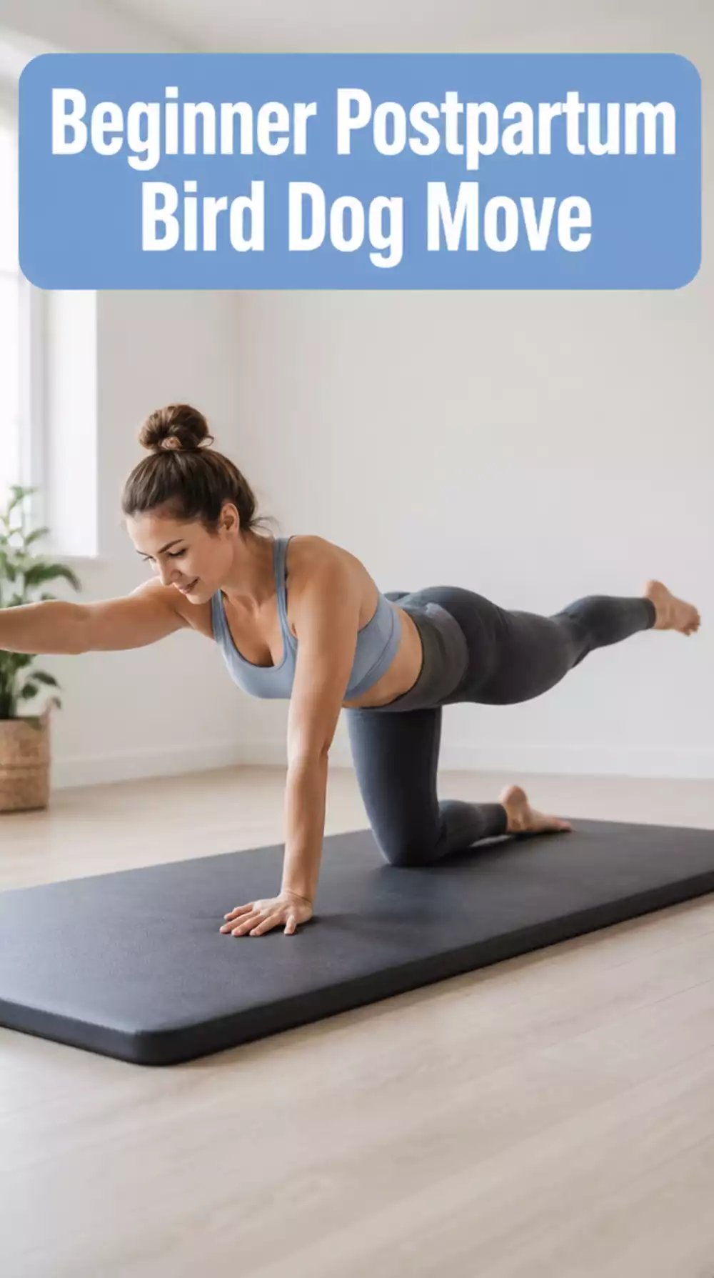 Beginner Postpartum Home Core Workout Bird Dog Move for Back and Ab Strength